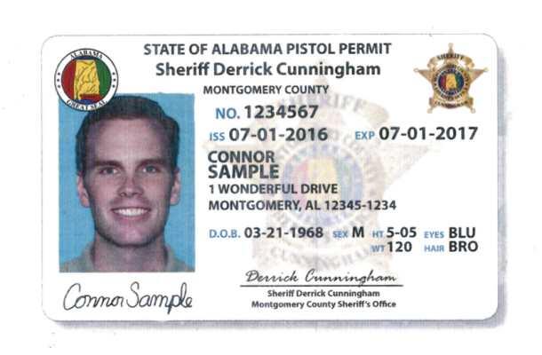 Sample Pistol Permit